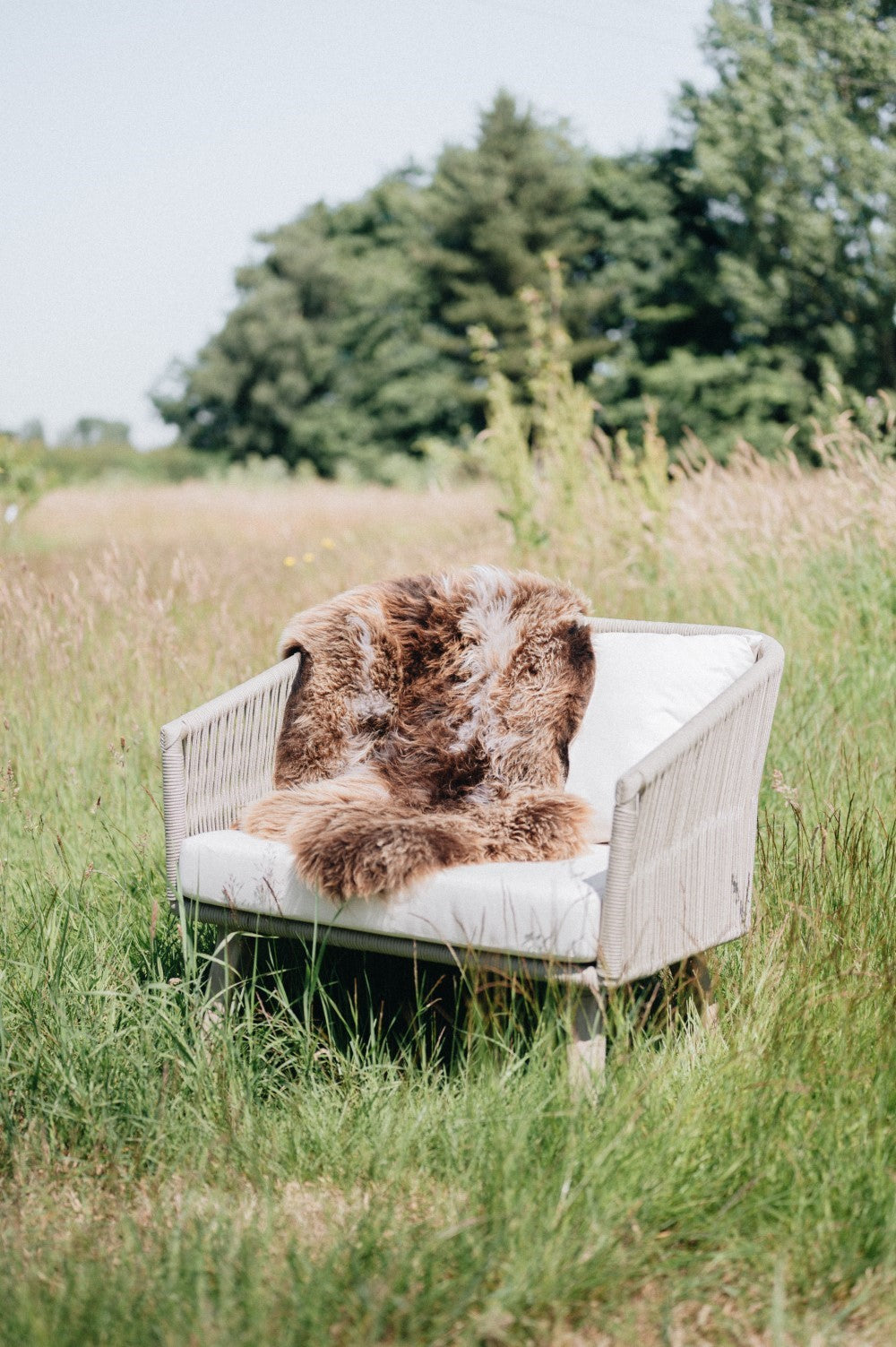 white british sheepskin rug by westmorland sheepskins