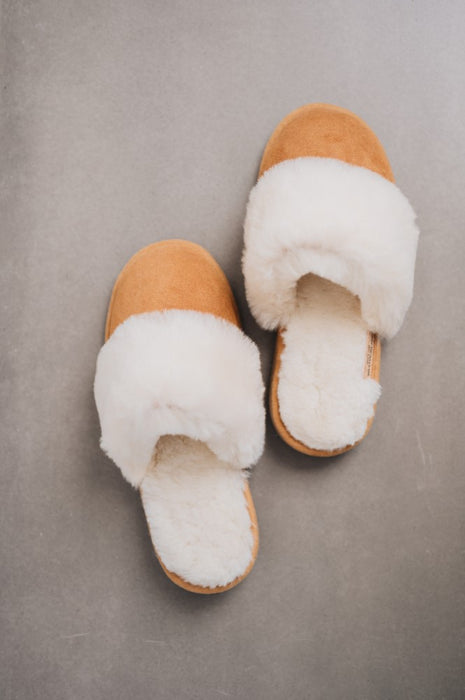 Birds eye view of Veronica Mel Sheepskin Slippers on Concrete Surface