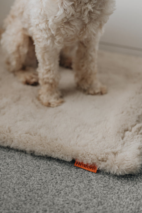 Close up of a dogs legs on an oatmeal coloured sheepskin pet bed