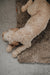 Cockapoo laid on a wheat brown coloured sheepskin pet bed 