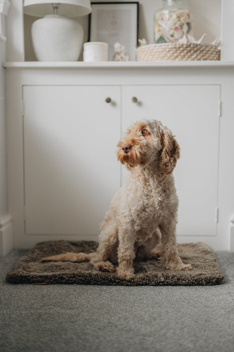 Dog sitting on a wheat brown sheepskin pet bed mat in a room with white cabinets and decorative items.