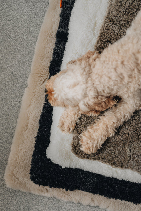 Dog lying on a pile of different coloured sheepskin pet beds