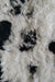 Close-up of a sheepskin rug surface with black and white patches