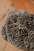 Close-up of the bottom of a brown sheepskin door stop with a zipper on a wooden surface