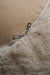 Close-up of a zipper on a beige fabric surface that is the bottom of a sheepskin beanbag.