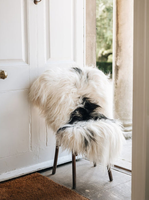 Icelandic natural spotted sheepskin white and black draped over a chair
