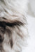 Natural grey undyed Icelandic Sheepskin Rug detail