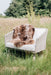 Dark Toned Rare Breed British Sheepskin Rug draped across a Garden chair in an English Meadow.